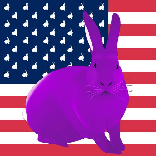 VIOLET FLAG rabbit flag Showroom - Inkjet on plexi, limited editions, numbered and signed. Wildlife painting Art and decoration. Click to select an image, organise your own set, order from the painter on line